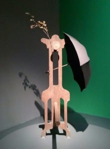 CAM05735-1
