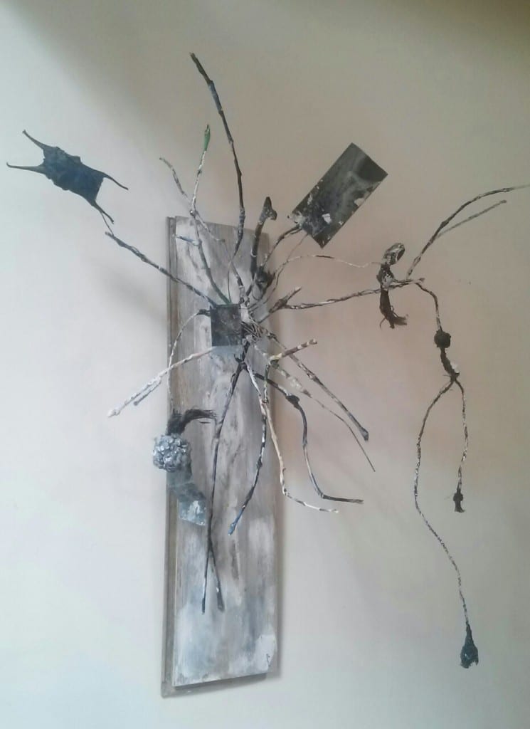 bois, journaux, radio, capsule d'oeufs de raie, algue séchée, peinture