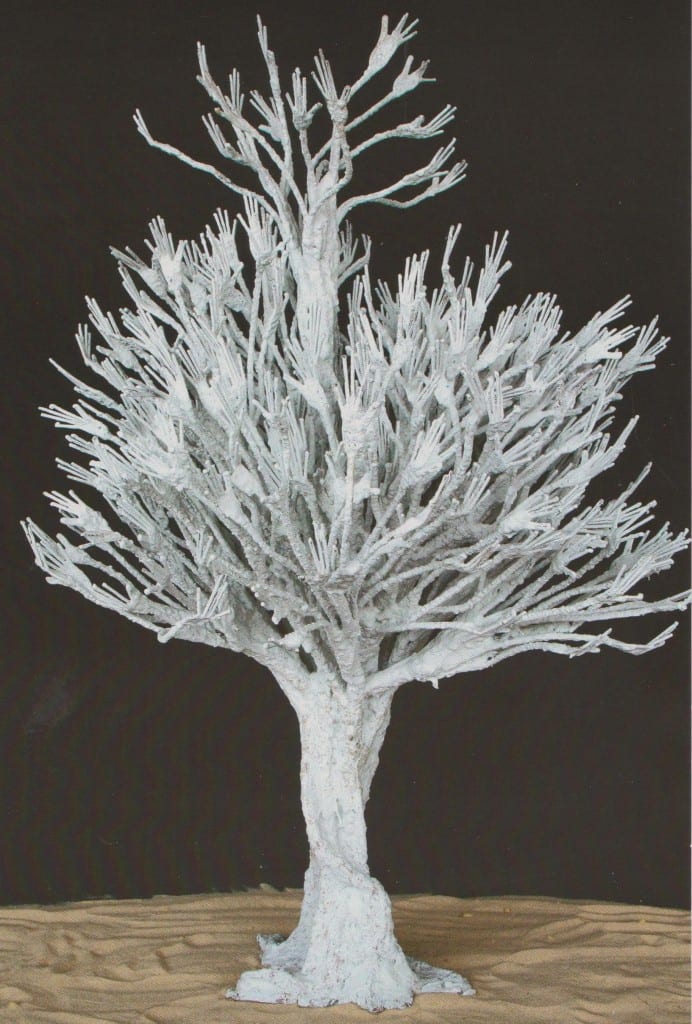 NDARY Lo arbre des origines