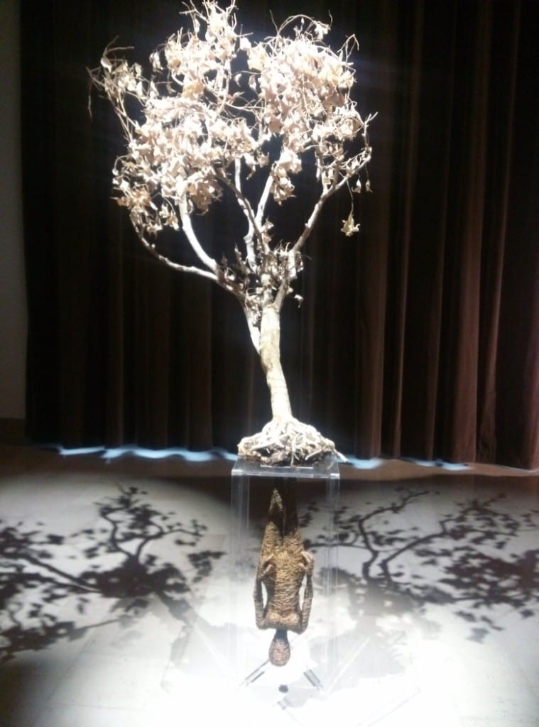 F POZZOLI (2)