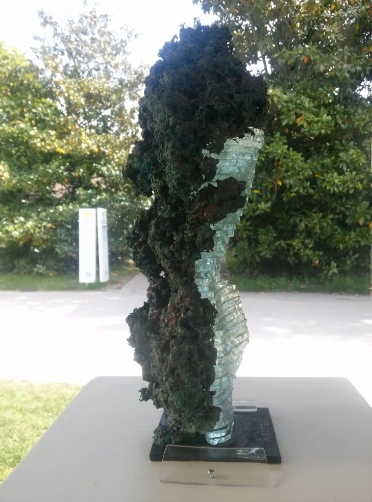 Francois Agate