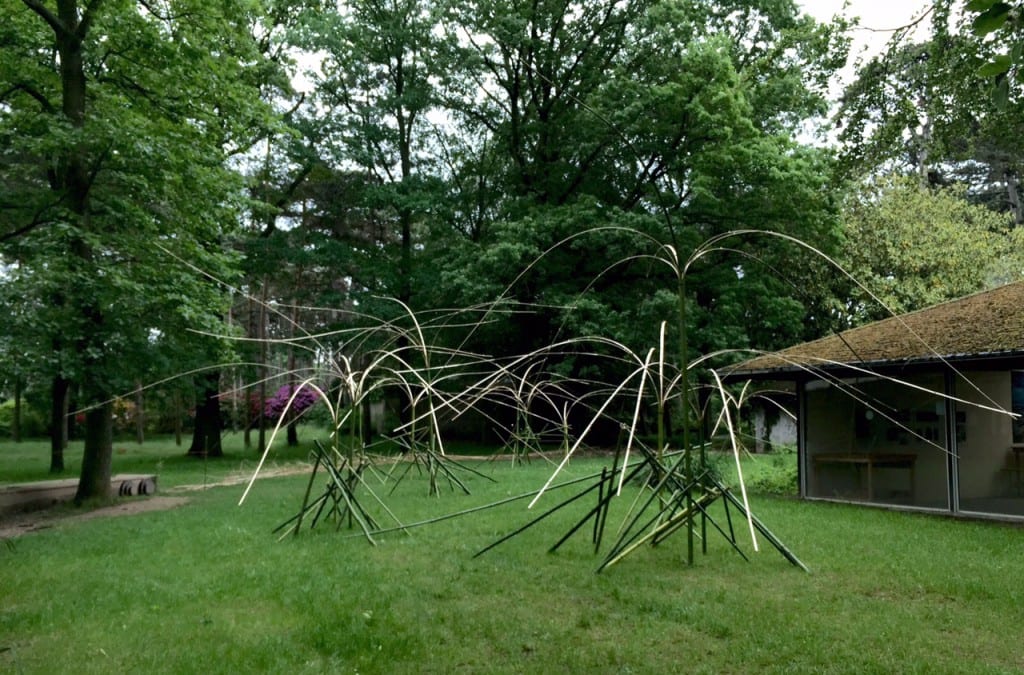 Ikebana (2)