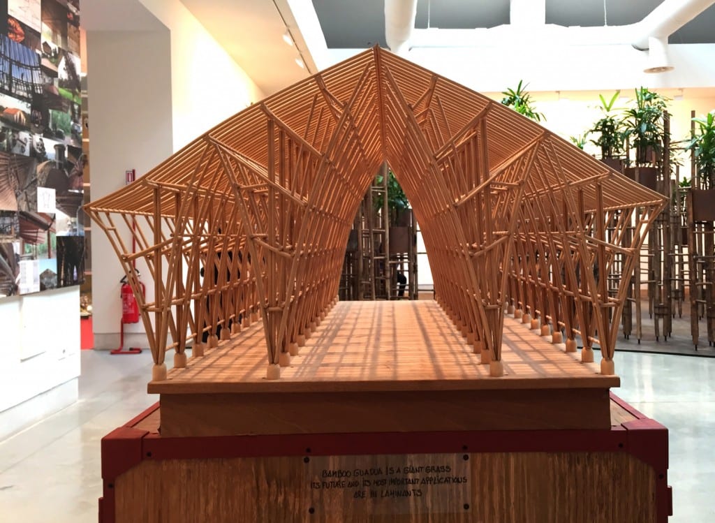 biennale 2016 (5)