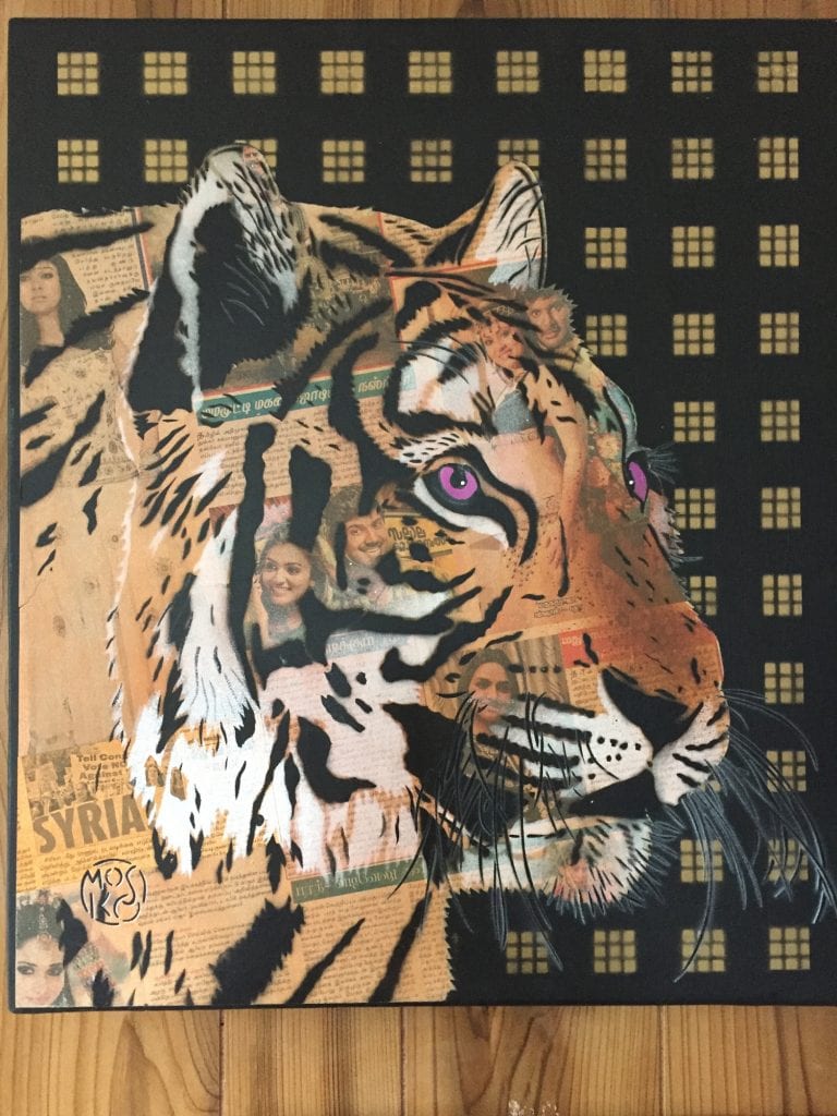 Mosko-tigre-visages