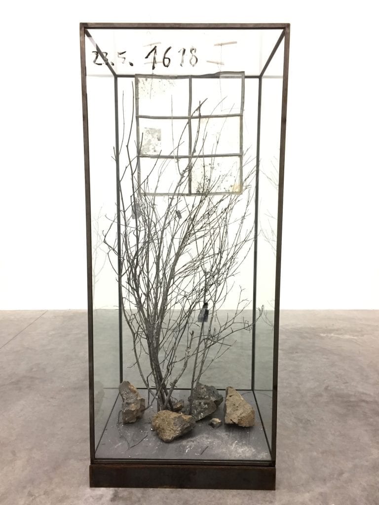 Kiefer-(15)