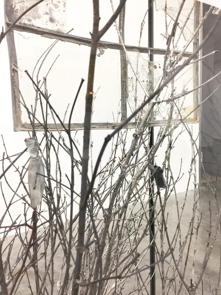 Kiefer-(17)
