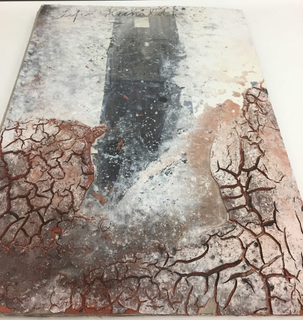 Kiefer-(50)