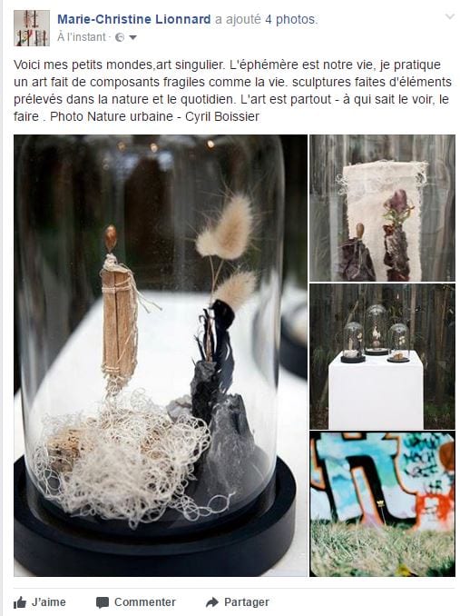 Les petits mondes de Chrismali aux cotés d'une photo Nature urbaine de Cyril Boissier