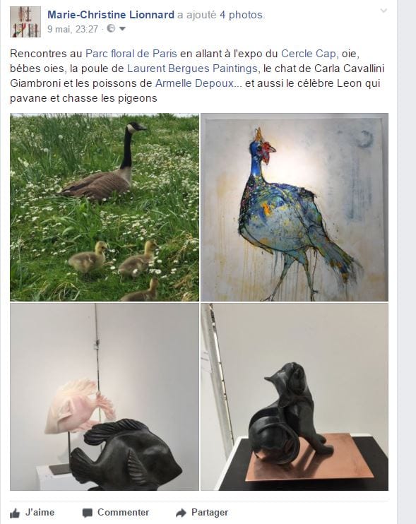 Expo Depoux Bergues Cavallini
