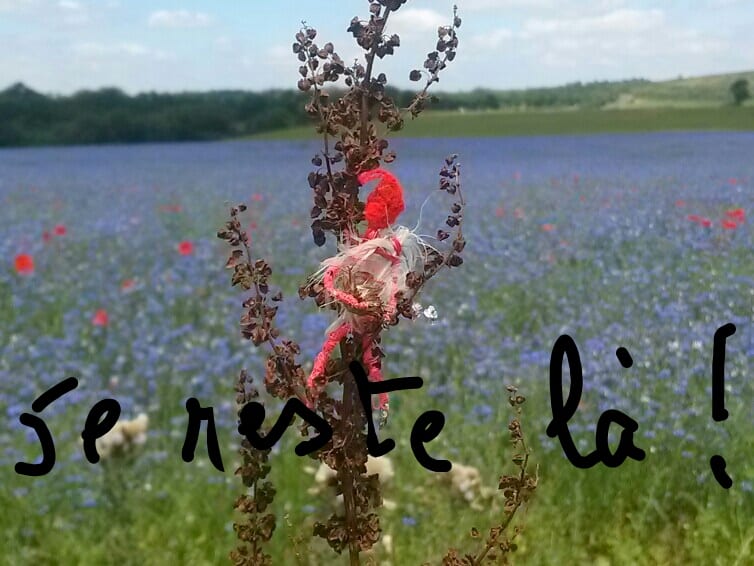 Saga de l&rsquo;été, coups de coeur et inspirations de Chrismali et des Chris