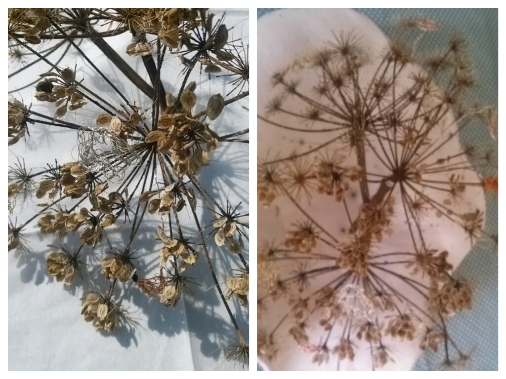 Land art , arte povera . Quand la nature inspire. Vous aussi créez!