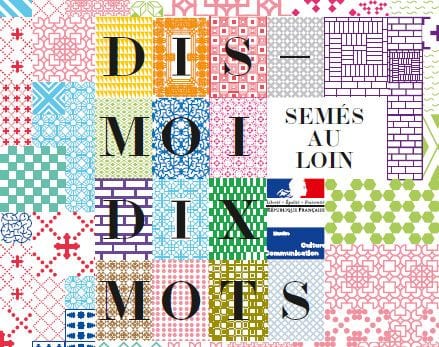 Les jolis mots, les mots désuets, les mots du futurs… Anamorphose, babil,coxigrue, didascalie et 22 autres mots choisis