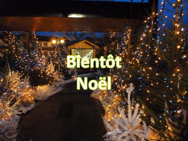 Marché de Noël autour de l&rsquo;art -Résidence Abbaye de Saint-Maur 94- 25 et 26 nov