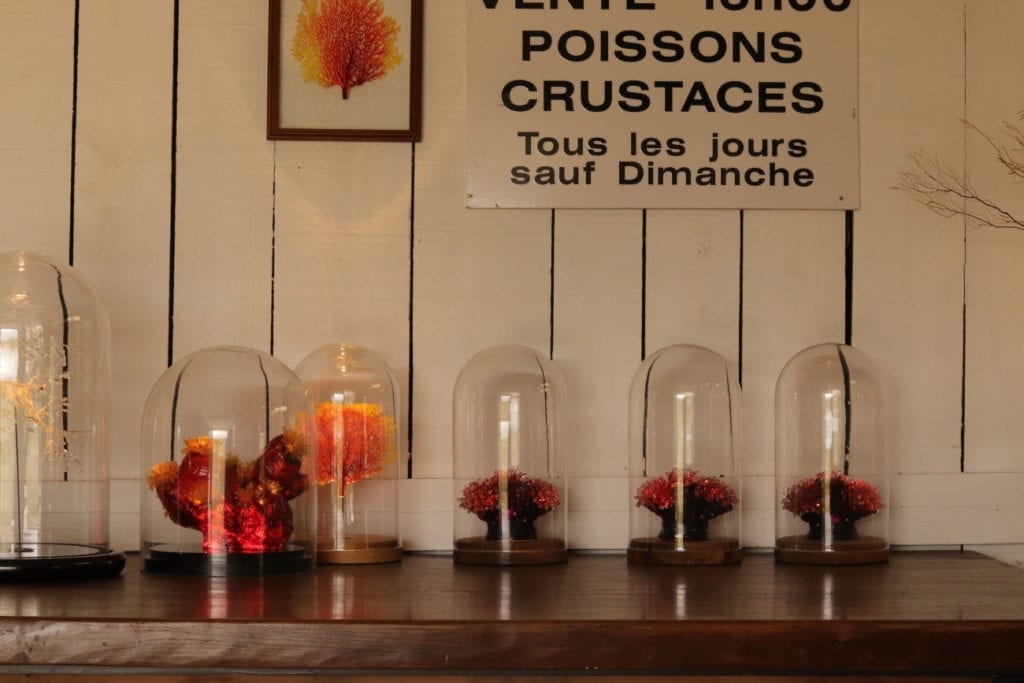 Sebastien Rideau